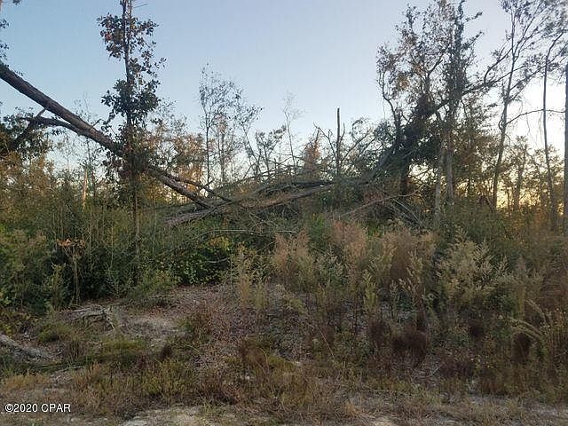 2nd image of 0 Stone Ave