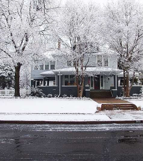 Rare snow fall Feb 2004