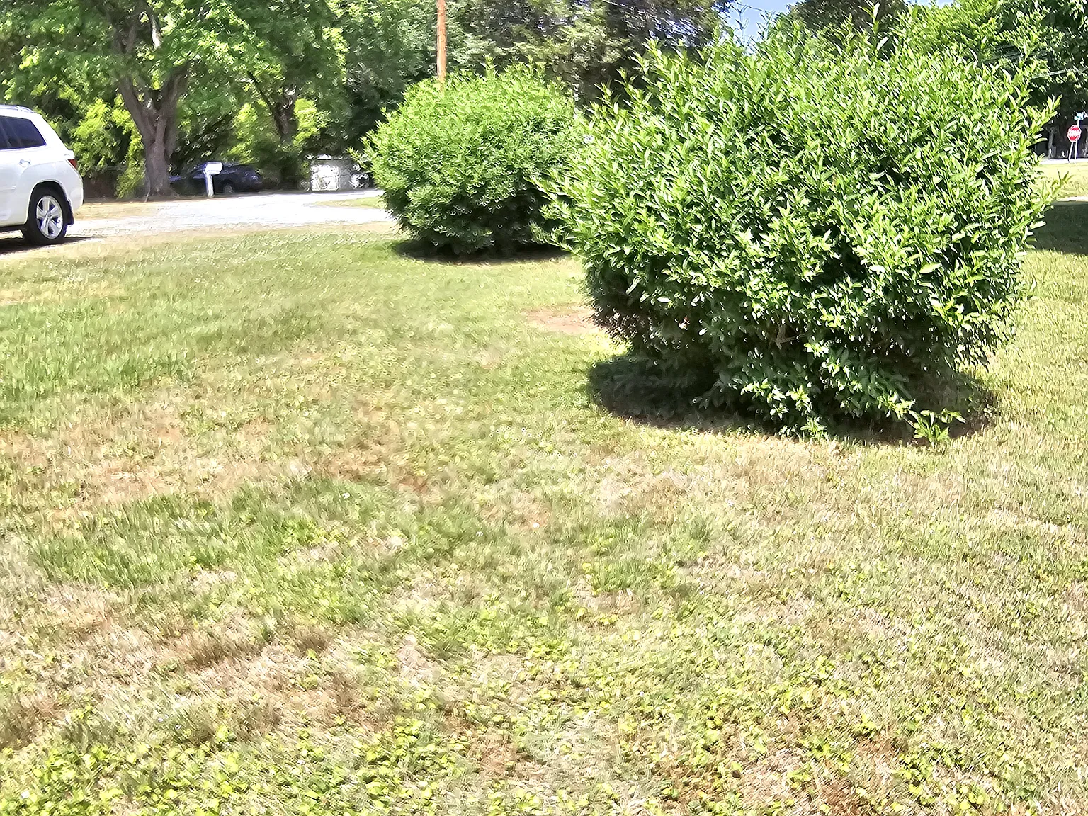 100 Coley Cir — Photo 4
