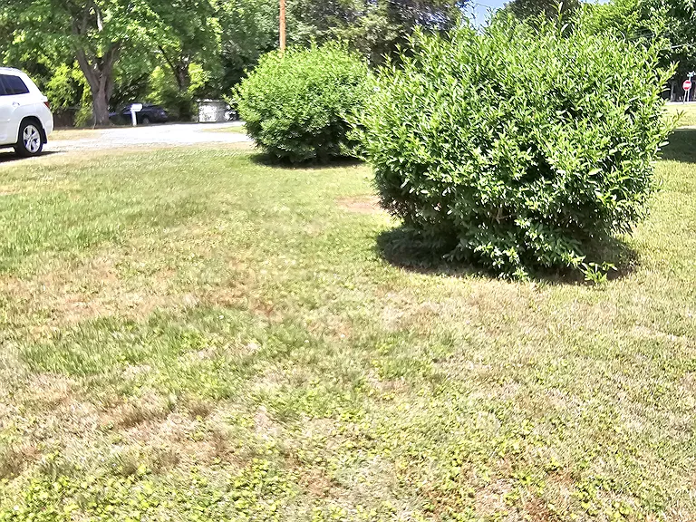 100 Coley Cir — Photo 4