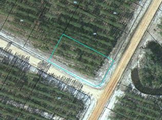 172 Satilla Plantation, Waynesville, GA 31566