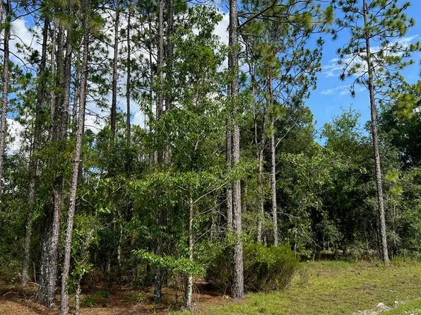  NE 138th Ave, Williston, FL 32696