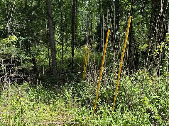 3rd image of 1665 Piedmont Rd