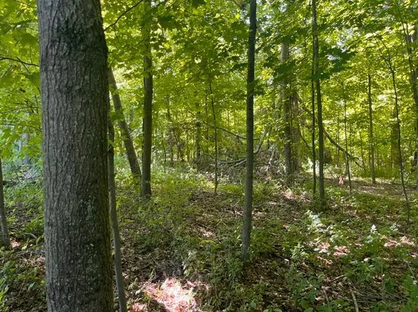 2 County Road Bb, Woodville, WI 54028