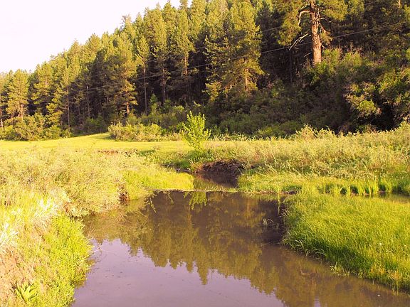 BEAVER POND ON CREEK