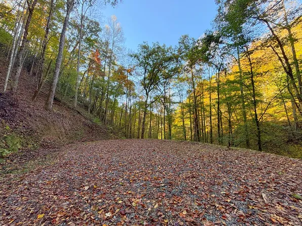 999 Mountainside Dr, Bryson City, NC 28713