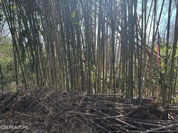 1153 Army St, Knoxville, TN 37920