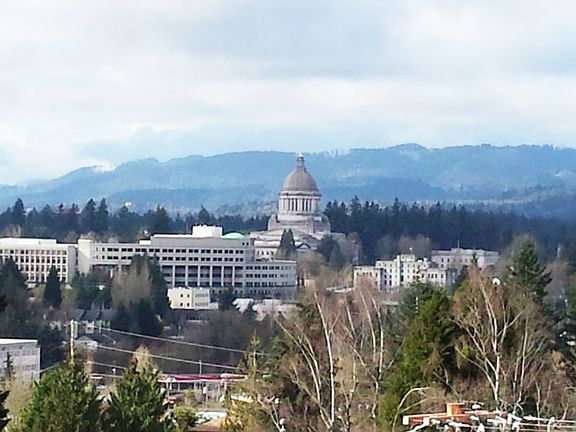 3rd image of 1603 8th Ave SE