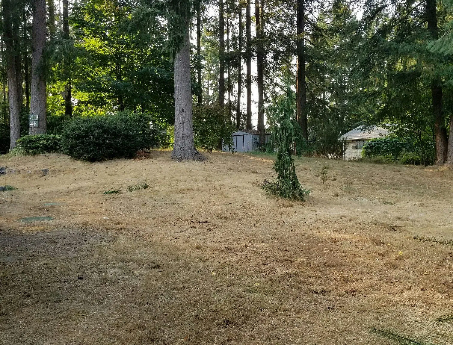 2 bed, 1.5 bath, 1079 sqft, $2,150 — Photo 3