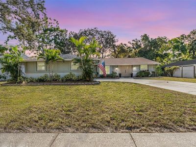 1031 Forest Grove Blvd, Palm Harbor, FL, 34683