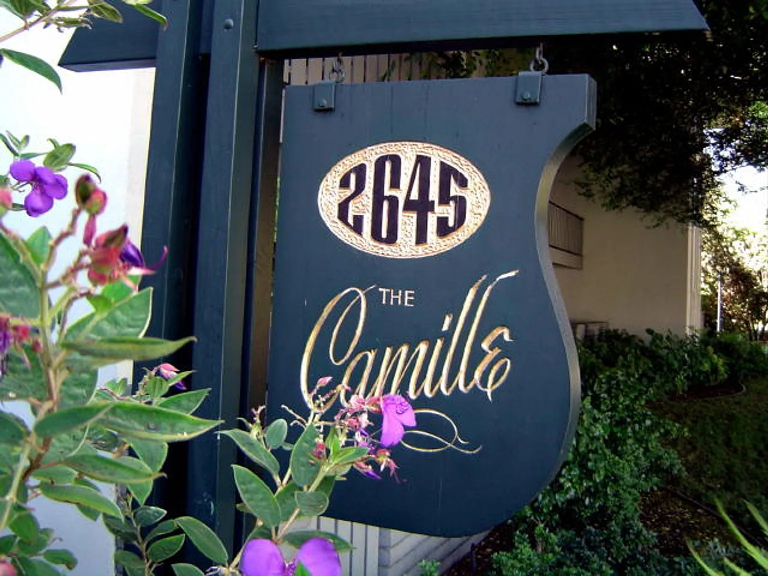 The Camille — Photo 4
