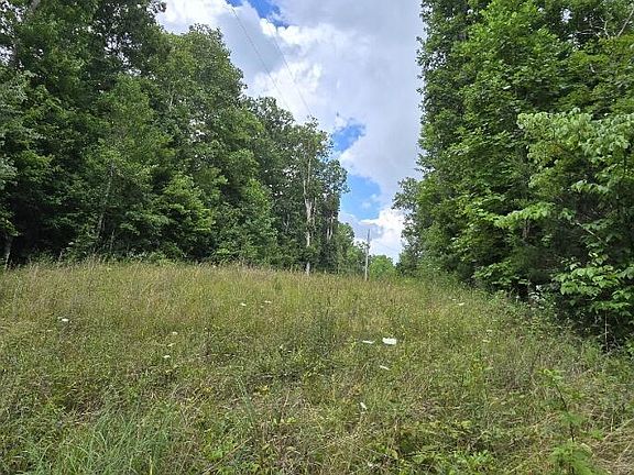2nd image of Honey Creek Loop Rd