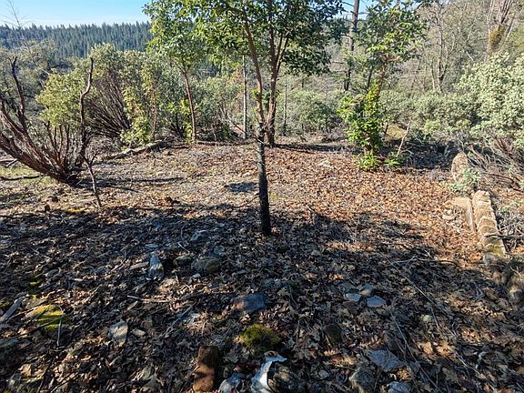 2nd image of 87 Rock Creek Rd