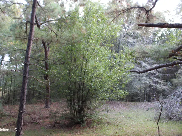 2901 Moore Rd, Red Banks, MS 38661