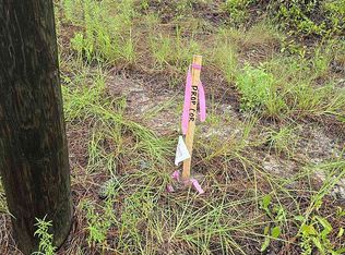 0 SE 136th Ter, Dunnellon, FL 34431