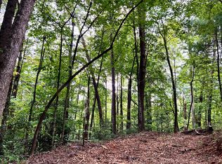 3799 Boardtown Rd, Ellijay, GA 30540