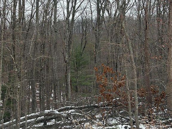 2nd image of 0 Timber Trail Ln