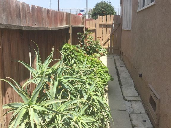 3rd image of 843 W 13th St