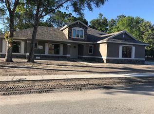 12815 Eagles Entry Dr, Odessa, FL 33556