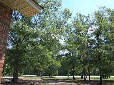 2554 Highway 378 — Photo 24