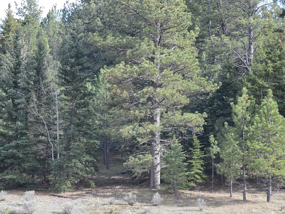 4 Five Vuelta Vis, Guadalupita, NM 87722 MLS 111048 Zillow