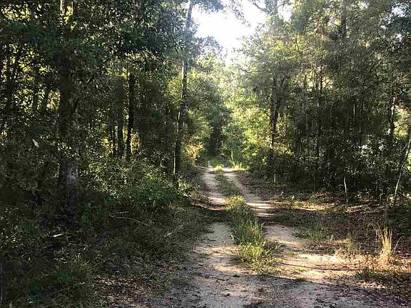 2nd image of Running Deer Ln