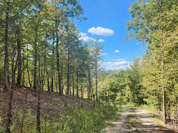 224 Revas Way, Story, AR 71970