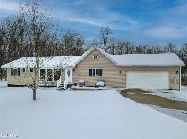 13386 Shady Ln, Chesterland, OH 44026