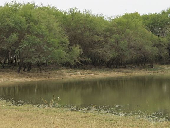 2nd image of TBD CR 414 Lot #2