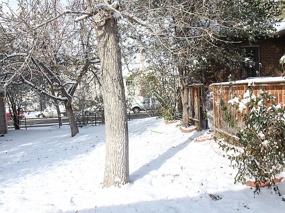Back Yard bordered by detached garage