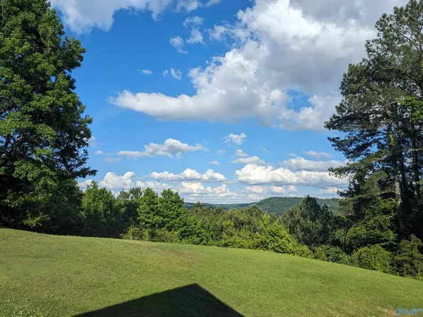 3405 Creek Cir, Guntersville, AL 35976