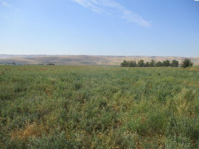 Thurber Rd, Touchet, WA, 99360
