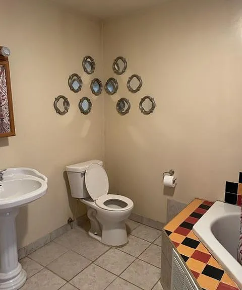 209 Avalon Ln — Photo 8