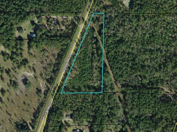 0 Blueberry Dr, Sneads, FL 32460