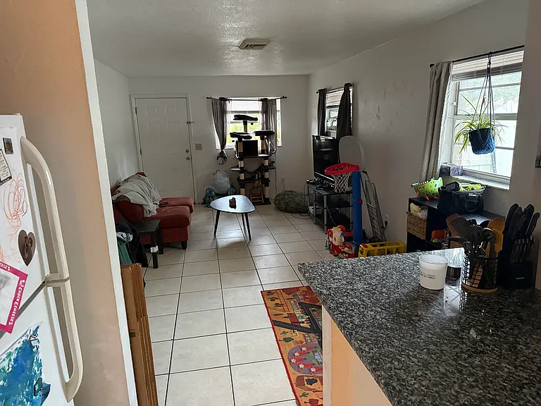 Living from Kitchen
