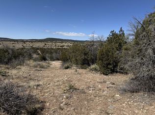 156A County Line Rd, Edgewood, NM 87015