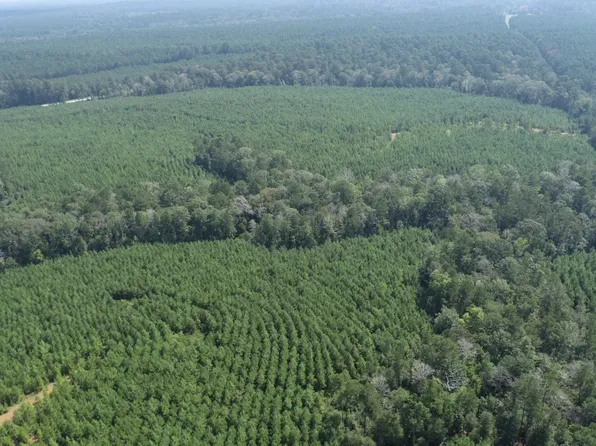 S Us Highway 96, San Augustine, TX 75972