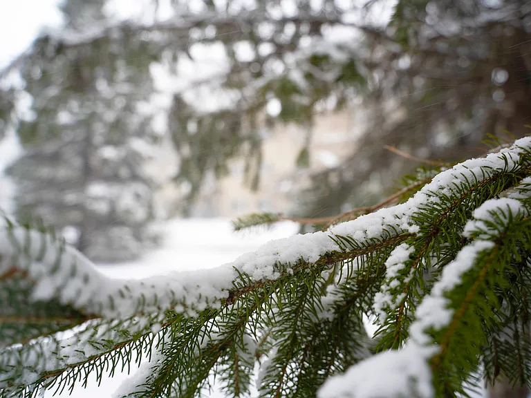 Even winter! ;)