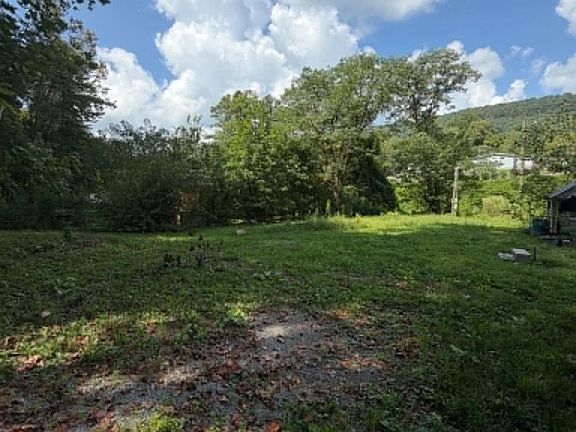 4th image of 410 Ideal Valley Rd