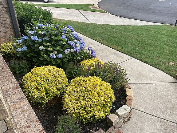 5th image of 9240 Holly Wood Dr
