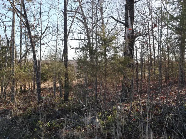 Candlewood Rd, Viola, AR 72583