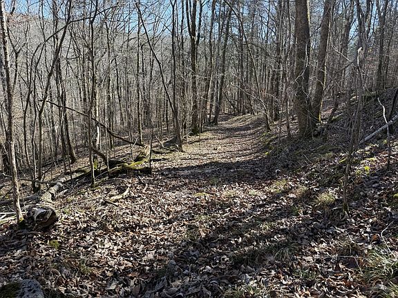 2nd image of 0 Davis Hollow Rd