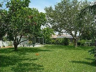 Park Like Back Yard View