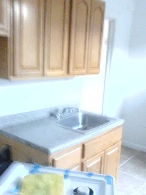 Rented by Lifestyle Realty | media 19