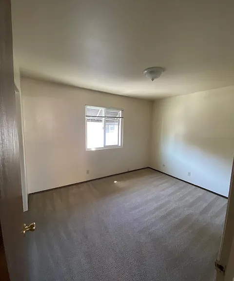 Ellis Park Apartments — Photo 5
