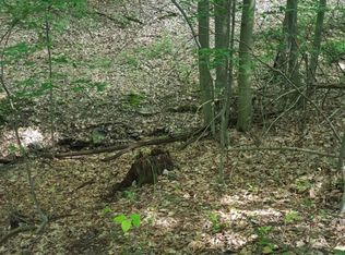 Moose Run Rd, Bellefonte, PA 16823