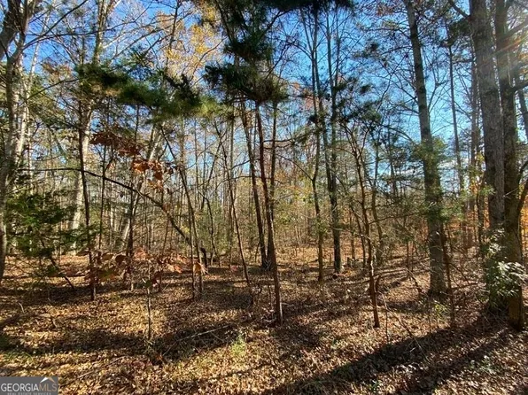 314 Shore Crest Dr, Martin, GA 30557