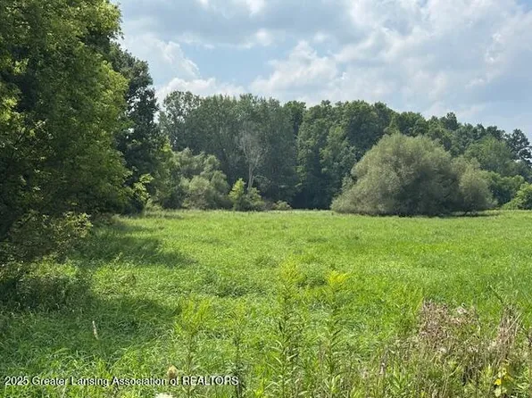 Vl2 West St, Mulliken, MI 48861