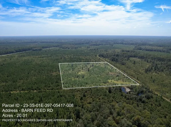 8 Barn Feed Rd, Crawfordville, FL 32327