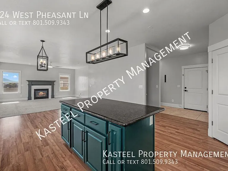 924 W Pheasant Ln — Photo 8
